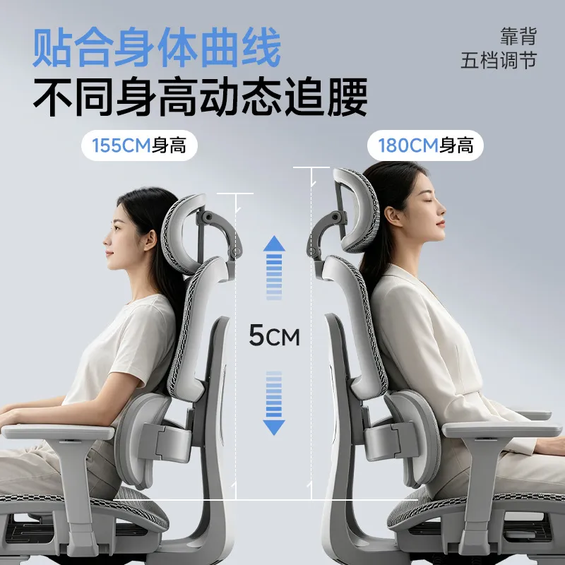 人間工学に基づいたランバーサポート付きオフィスチェア、リクラ - Home Office Work のレビューと価格